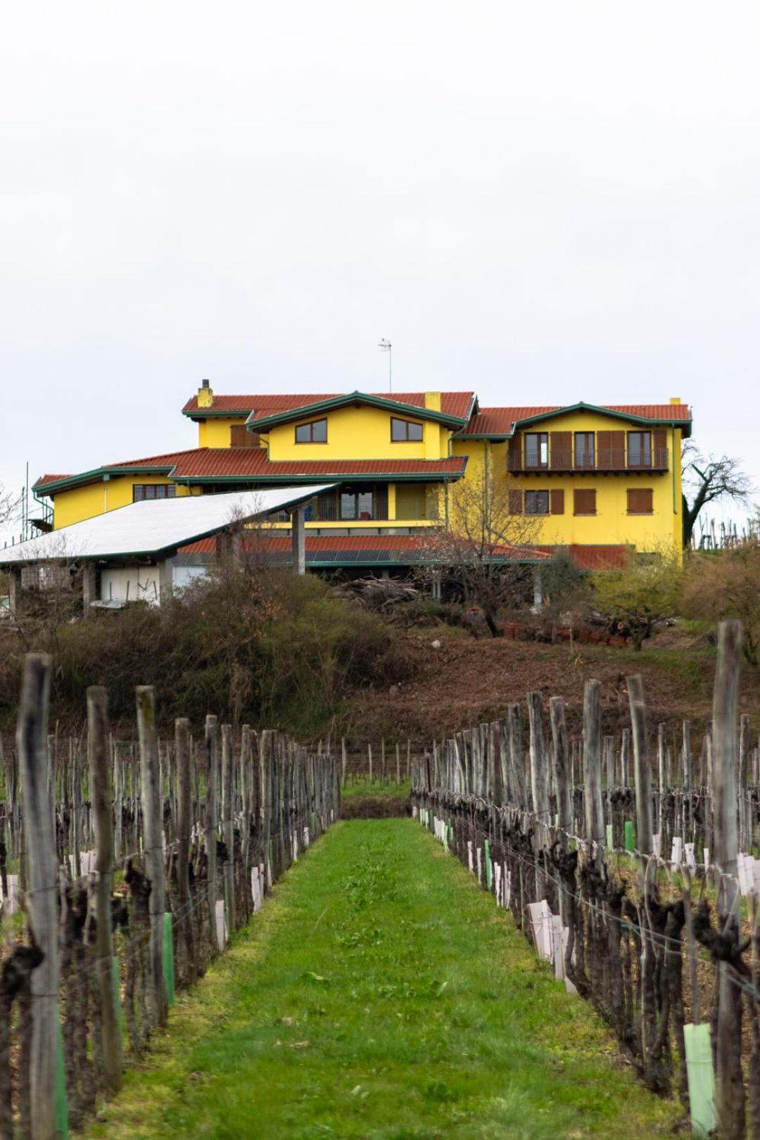 Agriturismo Nema Mossa Extérieur photo